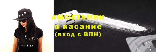 мет Алексин