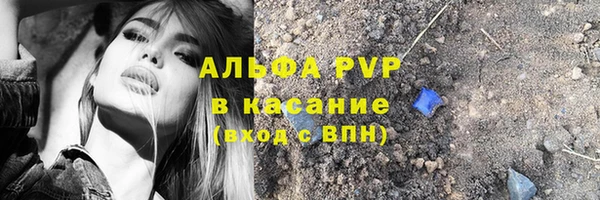 мет Алексин