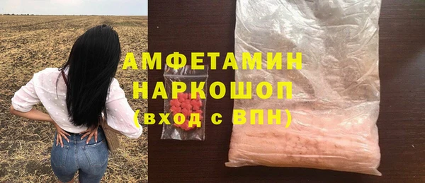 мет Алексин