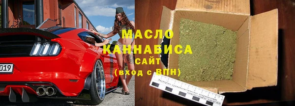 мет Алексин
