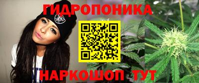 гидра Шебекино