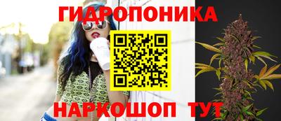 эйфоретик Шахты