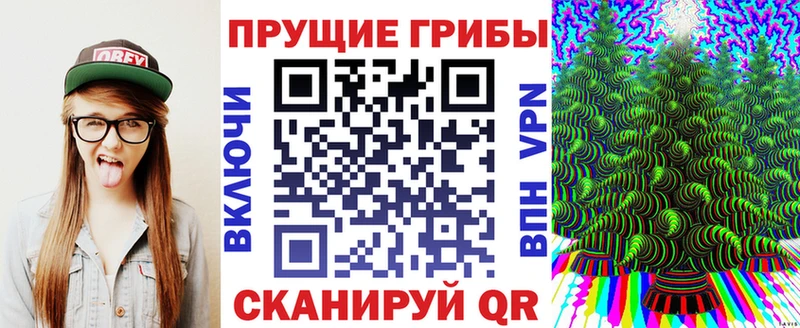 Купить где  Снежинск  Галлюциногенные грибы прущие грибы 