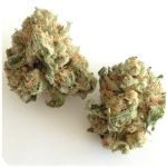 Шишки "White Widow"  (Белая вдова)  Гидропоника -  Бошка VHQ в Снежинске